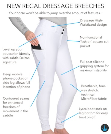 New Regal Technical Horse Riding Breeches Features Guide
